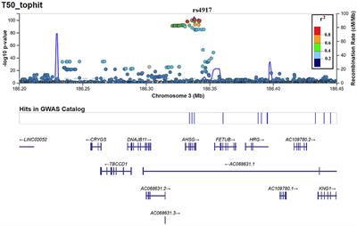 Genetic Determinants of Serum Calcification Propensity and Cardiovascular Outcomes in the General Population